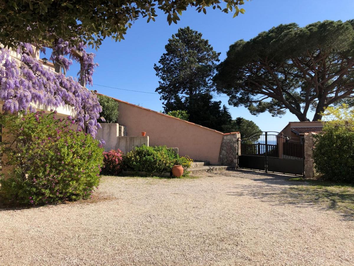 Villa Lilause Hyères Extérieur photo