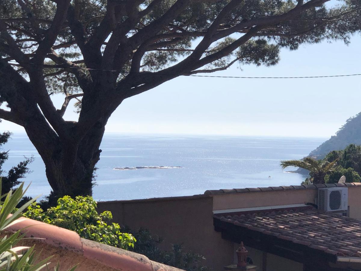 Villa Lilause Hyères Extérieur photo