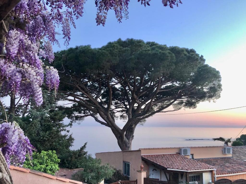 Villa Lilause Hyères Extérieur photo